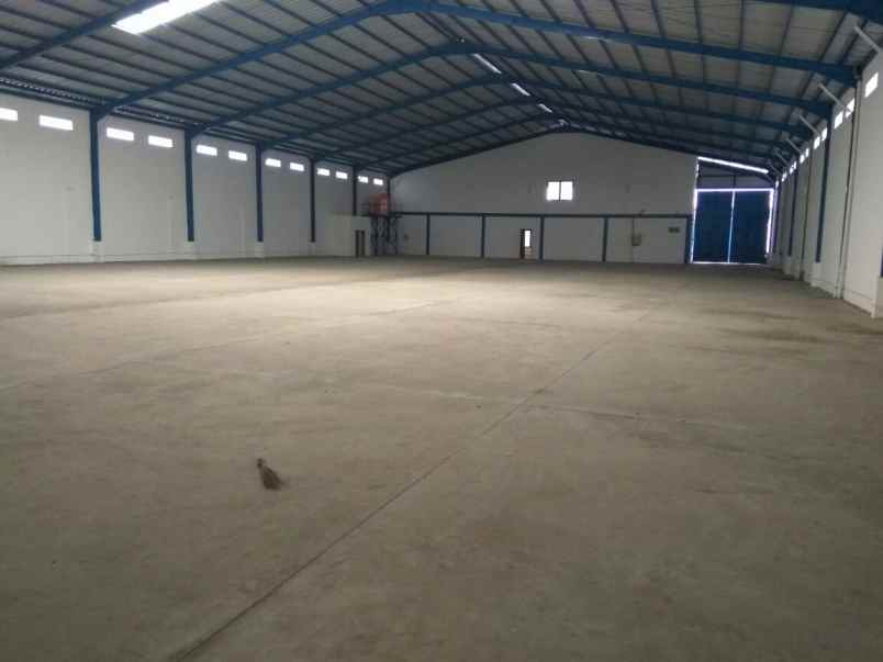 komersial cibolerang