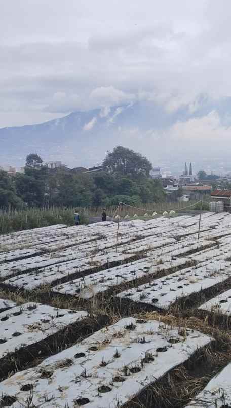 lahan premium kota batu malang