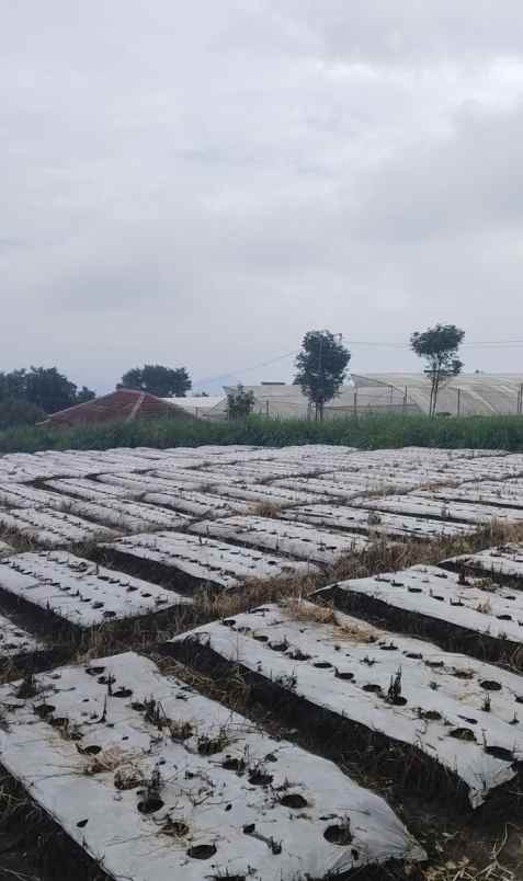 lahan premium kota batu malang