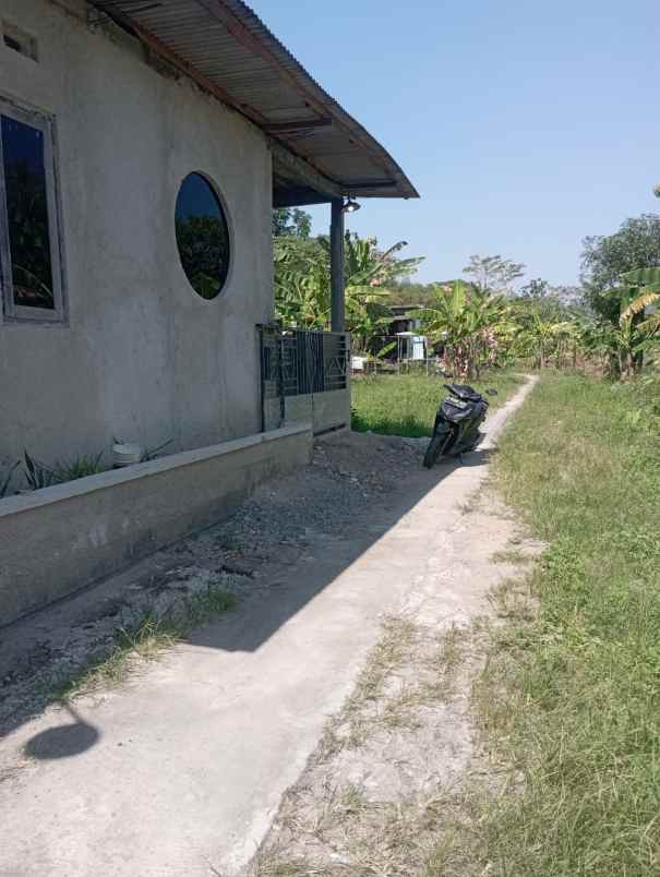 rowokrasak rt 05 03 rowosari kec tembalang