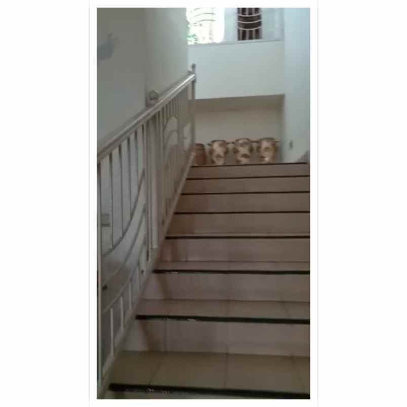 rumah jl kelapa gading gandaria