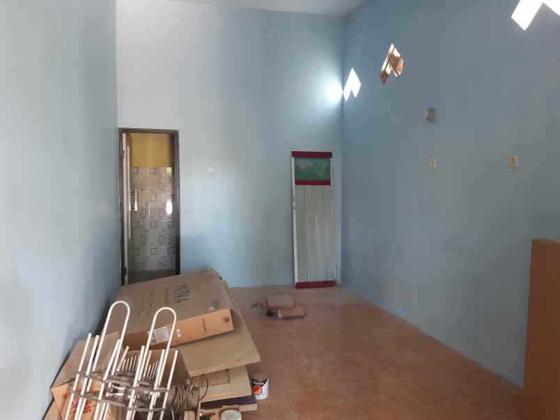 rumah kos dekat kampus unmuh jember