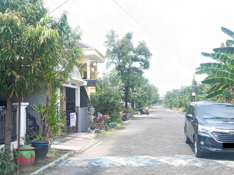 rumah minimalis murah di pondok tjandra duku waru
