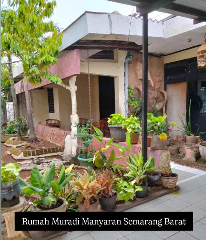 rumah muradi manyaran semarang barat