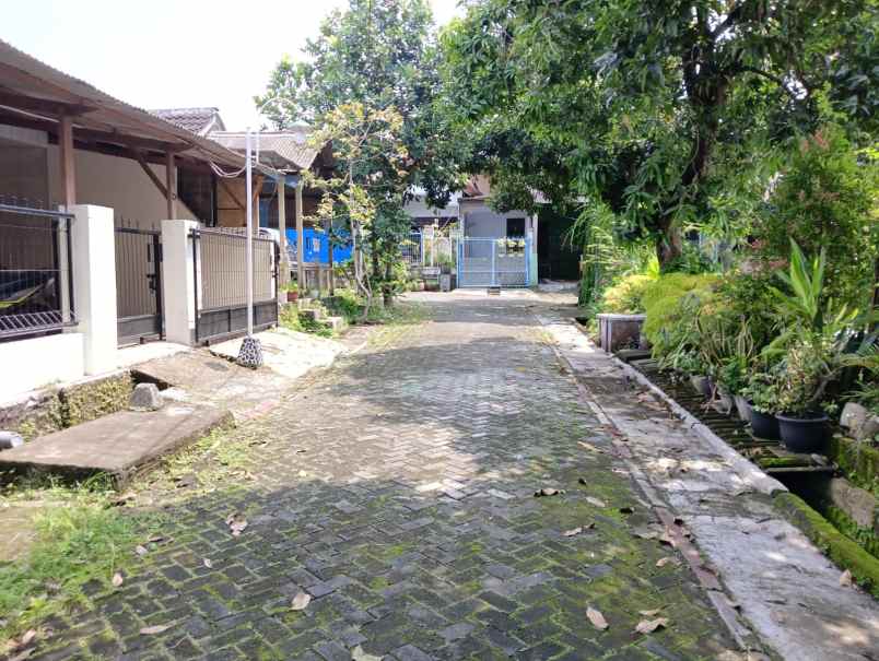 rumah tua hitung tanah saja pucanggading atas