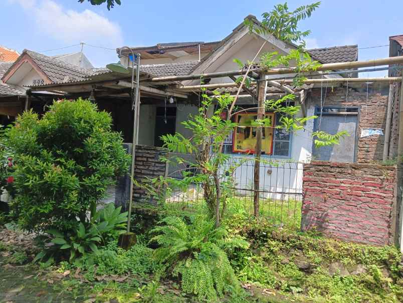 rumah tua hitung tanah saja pucanggading atas