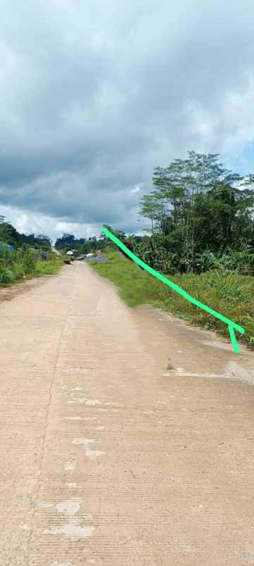 tanah 100 ha di papua barat