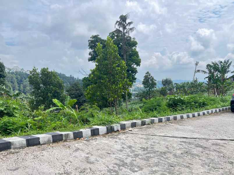 tanah 1150m dekat wisata grojogan sewu tawangmangu