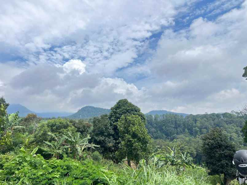 tanah 1150m dekat wisata grojogan sewu tawangmangu