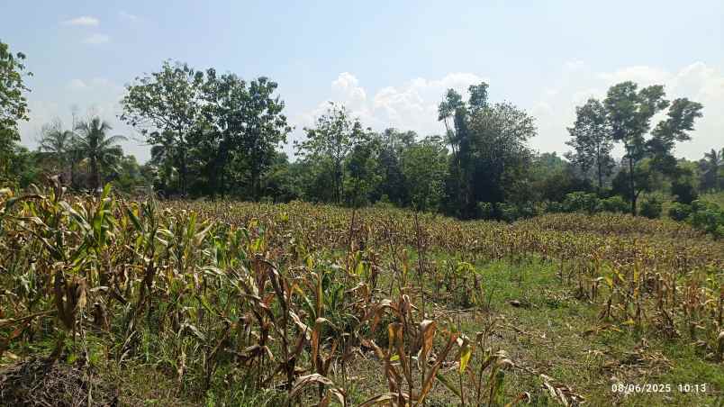 tanah 2 5 hektar di natar lampung selatan