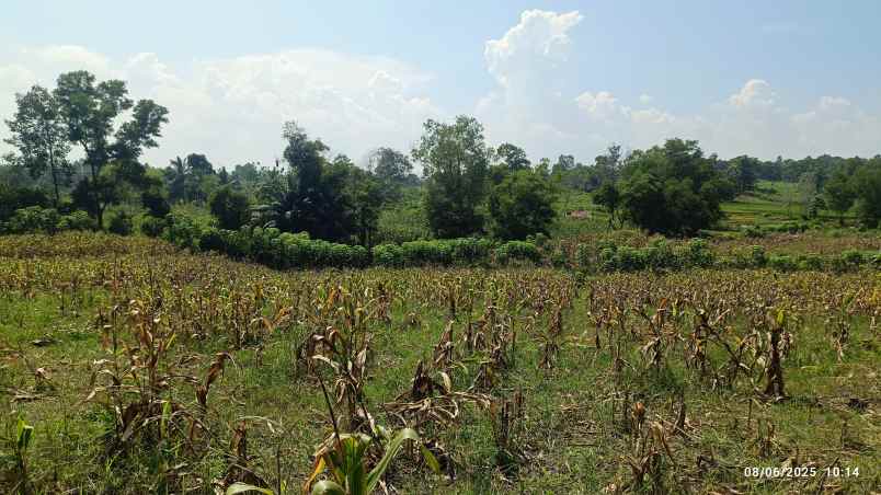 tanah 2 5 hektar di natar lampung selatan