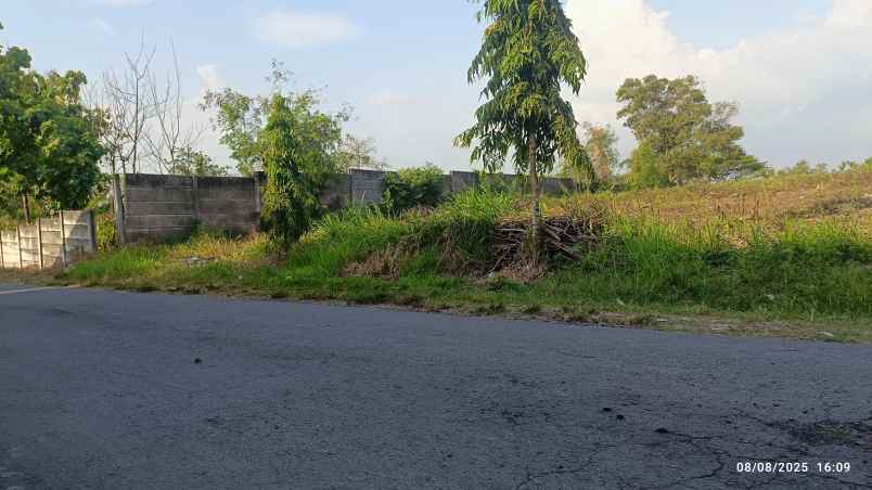 tanah 2 5 hektar di natar lampung selatan