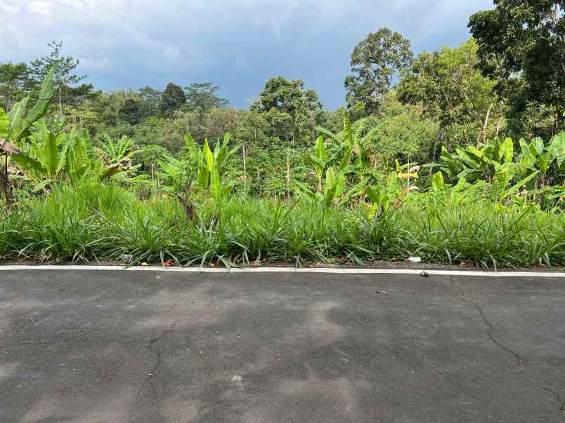 tanah 2242m dekat ponpes mta mojogedang