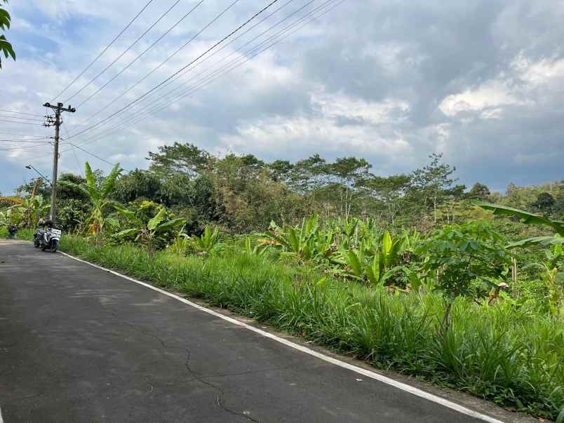 tanah 2242m dekat ponpes mta mojogedang