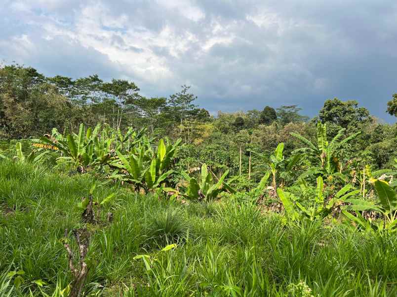 tanah 2242m dekat ponpes mta mojogedang