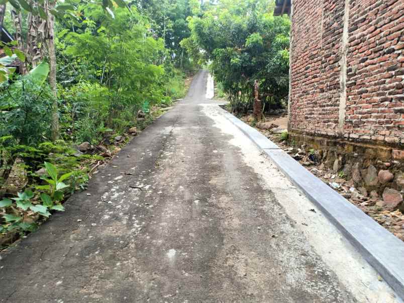 tanah bendungan kedawung sragen