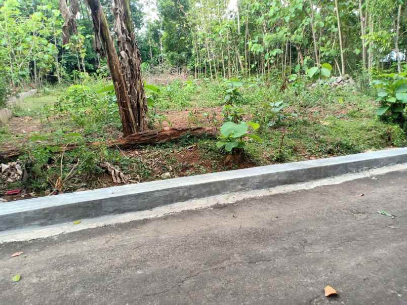 tanah bendungan kedawung sragen