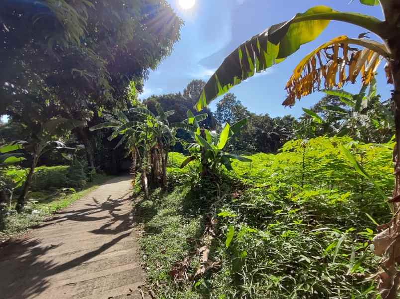 tanah best view siap bangun cijayanti sentul city
