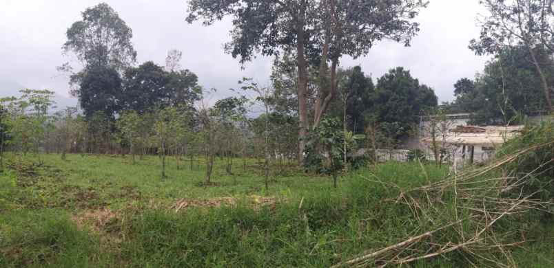 tanah blok talaga ciwidey