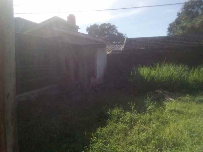 tanah cihideung palasari bogor