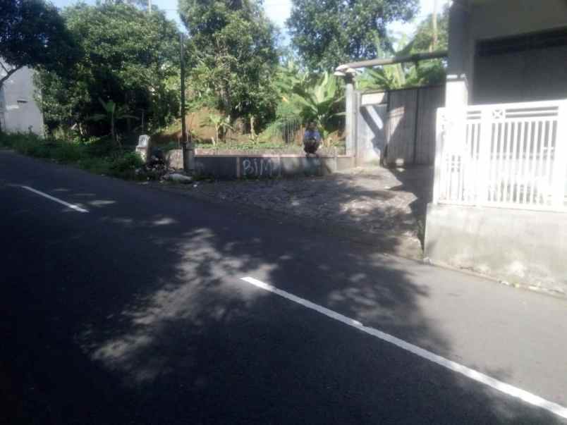tanah cihideung palasari bogor