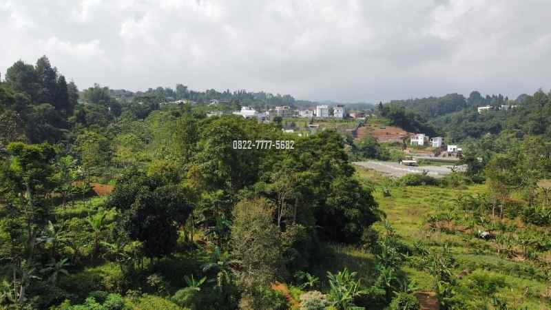 tanah dengan view bagus dan aliran mata air