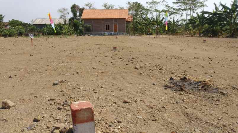 tanah desa nolokerto kec