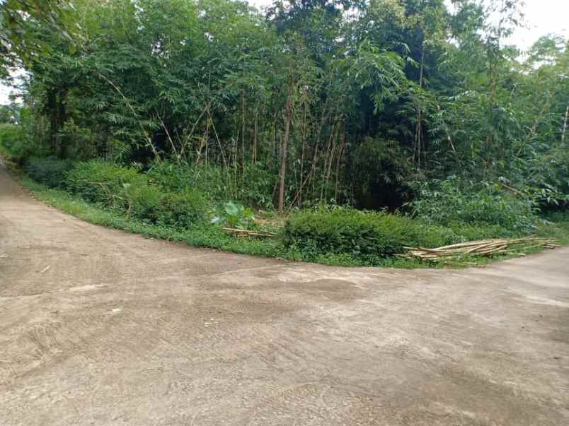 tanah karangpandan karanganyar