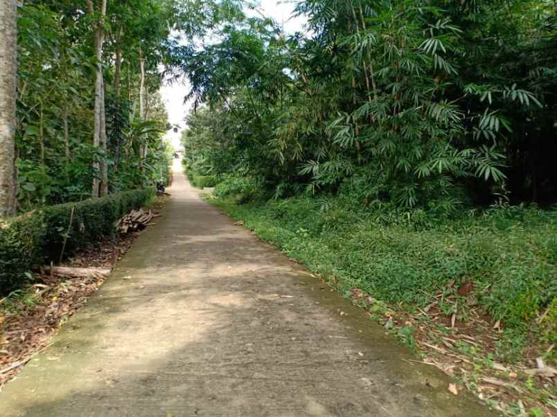 tanah karangpandan karanganyar