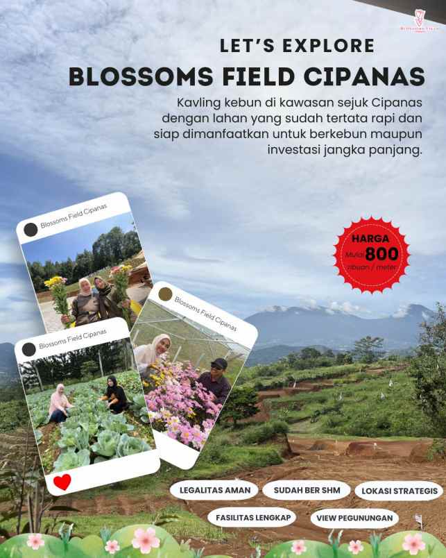 tanah kavling kebun di sukaresmi cianjur