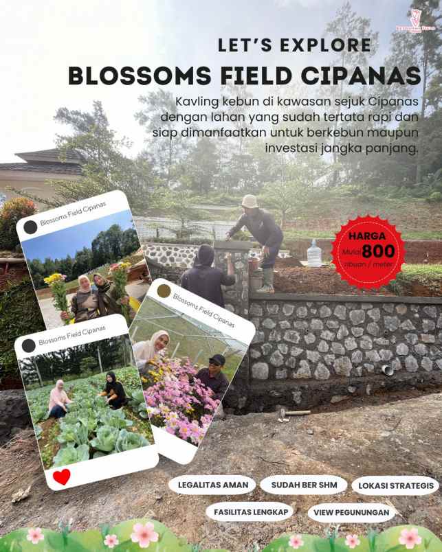 tanah kavling kebun di sukaresmi cianjur