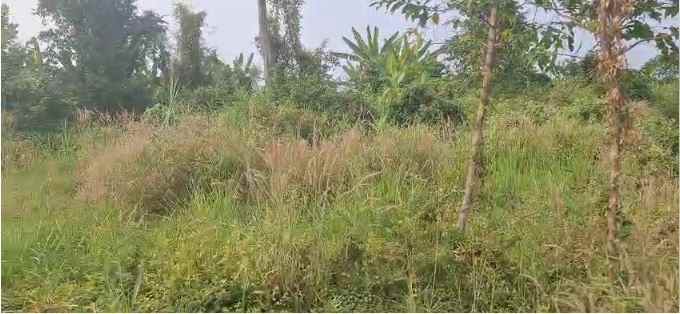 tanah komersil siap bangun dekat taman dayu pandaan