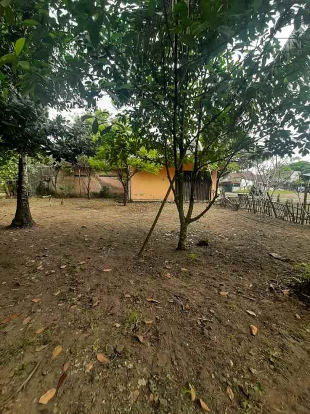 tanah luas dan murah di sidomoyo sleman yogyakarta