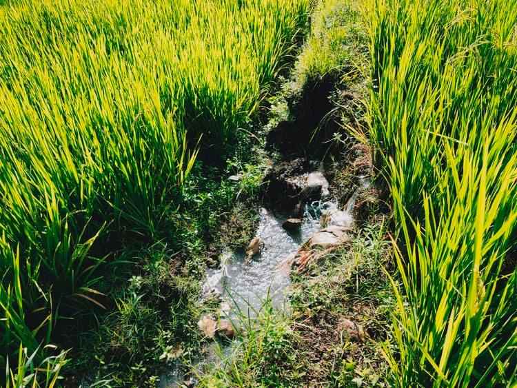 tanah munggur mojogedang