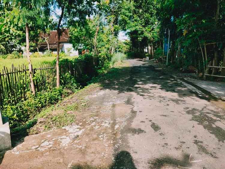 tanah munggur mojogedang