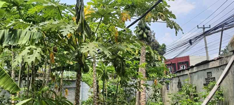 tanah murah di bawah njop di margahayu metro bandung