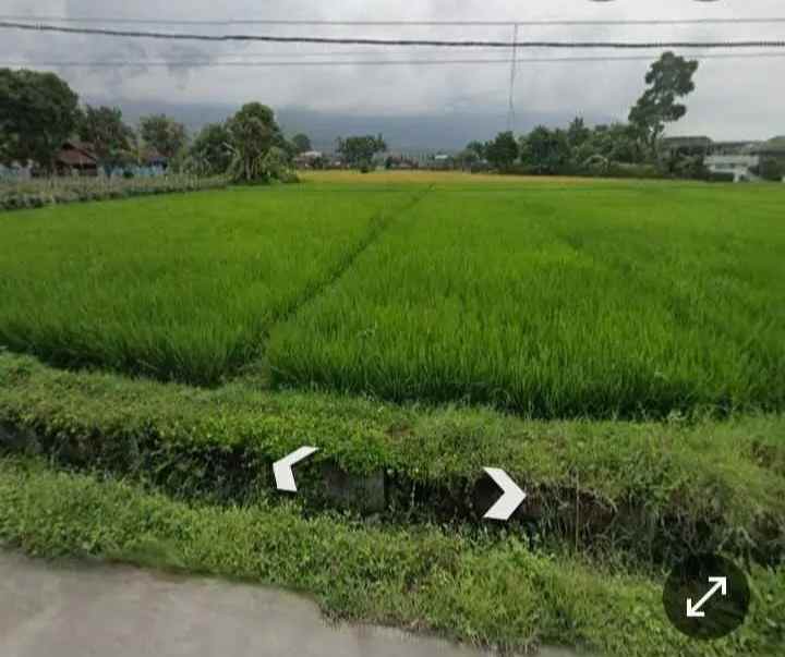 tanah sawah strategis lebar muka 22m