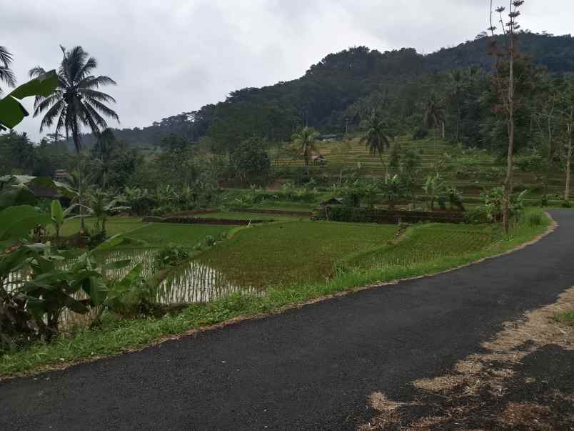 tanah subur air view pegunungan subang