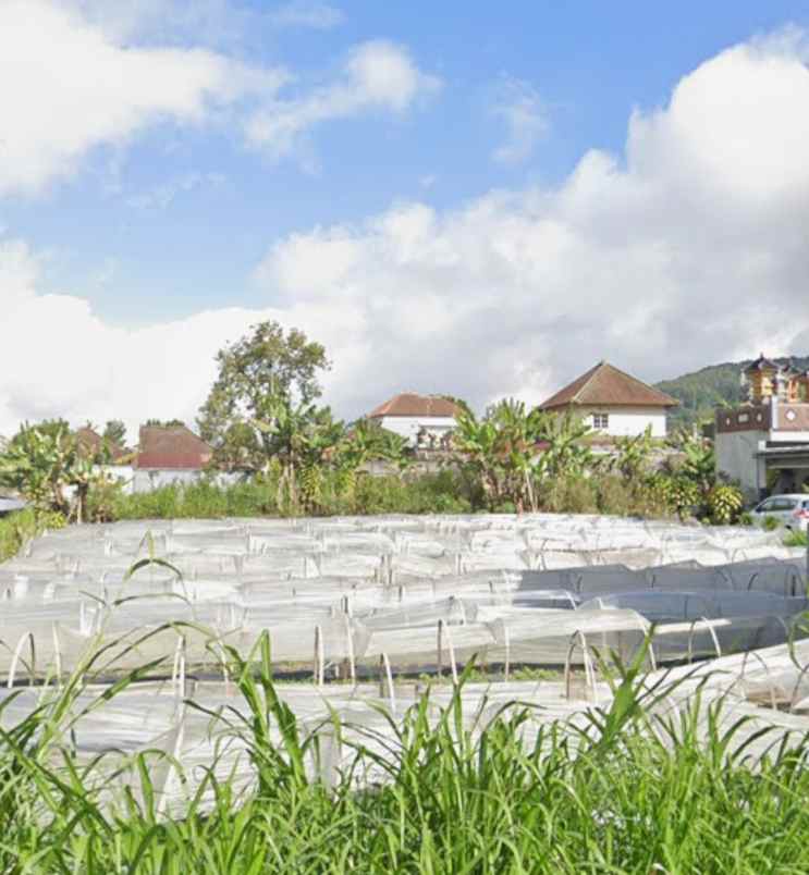 tanah zona pink view gunung dekat bali handara golf