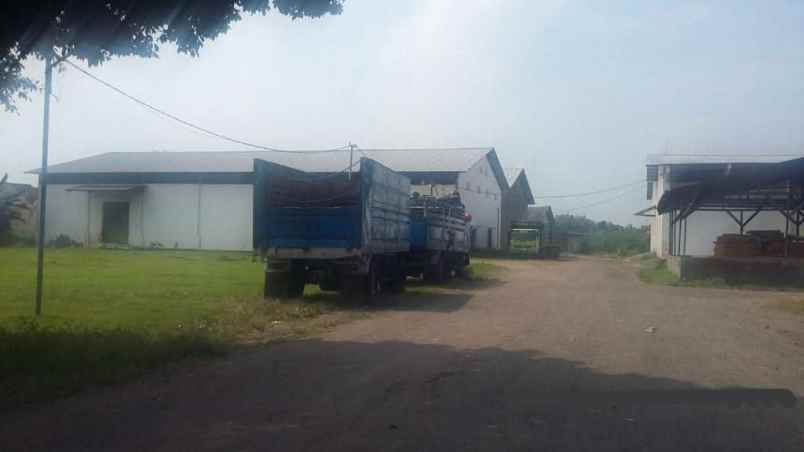 vex pabrik peterongan jombang strategis