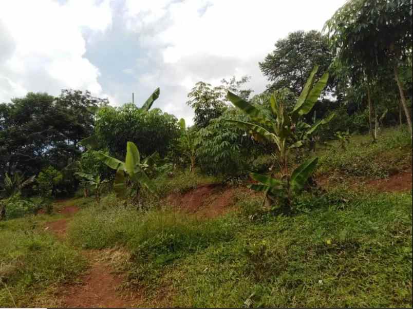 dijual cepat jual rugi tanah seluas 500 m2