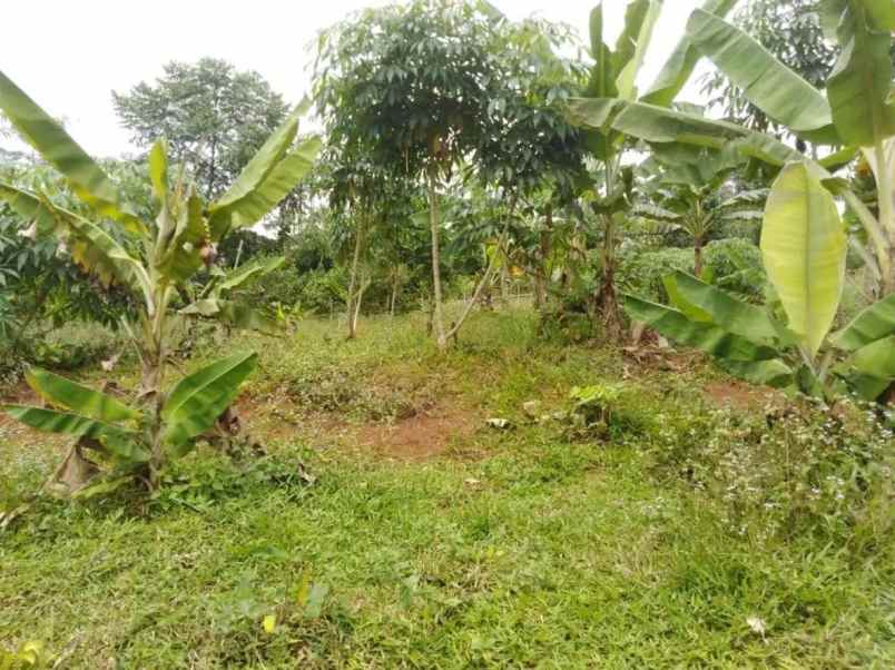 dijual cepat jual rugi tanah seluas 500 m2