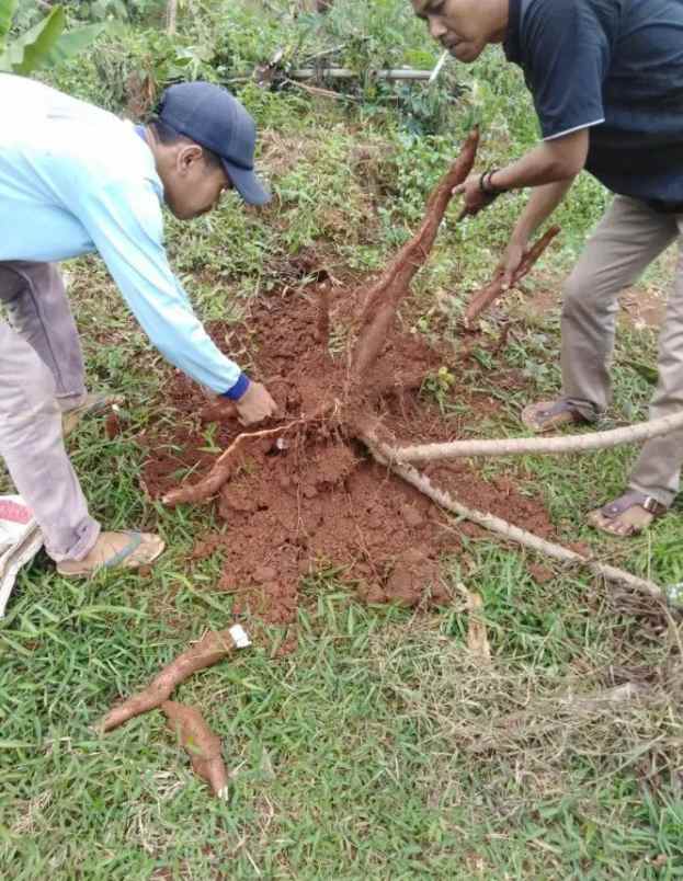 dijual cepat jual rugi tanah seluas 500 m2