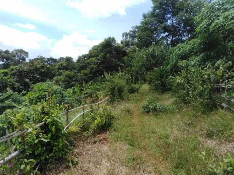 dijual cepat jual rugi tanah seluas 500 m2