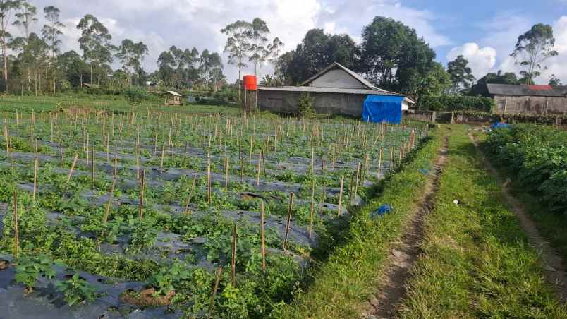 dijual gudang dan lahan pertanian
