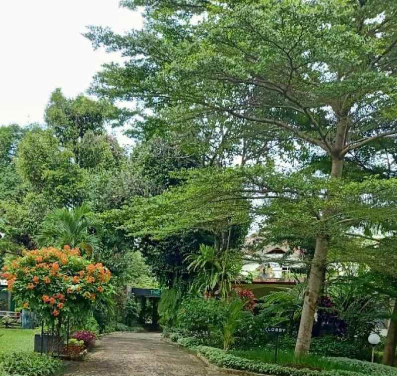 dijual hotel ciawi kabupaten bogor jawa