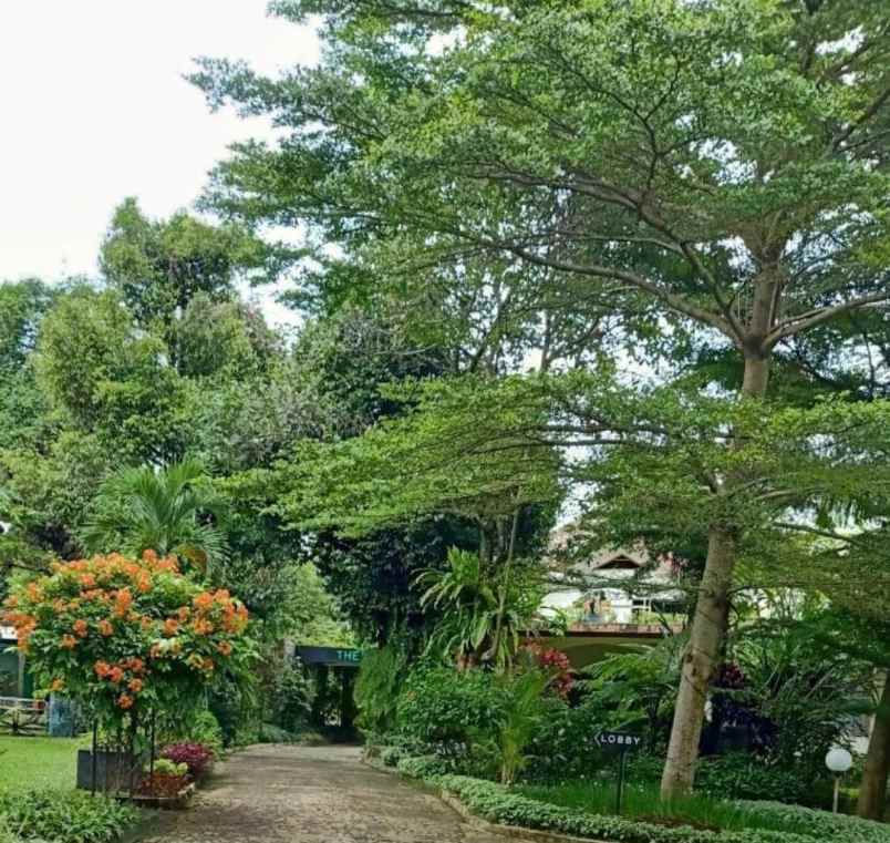 dijual hotel mainroad ciawi gadog bogor