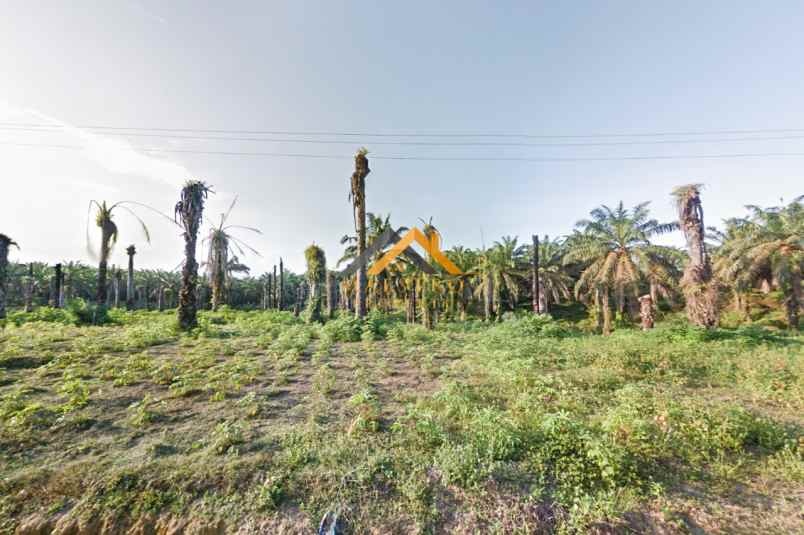 dijual kebun sawit daerah gohor lama langkat