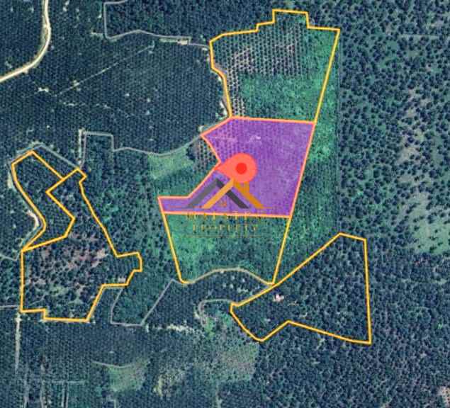 dijual kebun sawit daerah gohor lama langkat