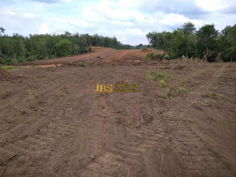 dijual lahan pengembangan di desa koto tinggi riau
